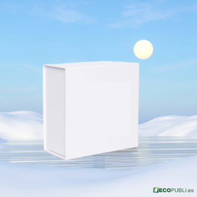 25 Uds Caja Cierre Magnético ECOBOX 22X22x5cm