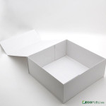 25 Uds Caja Cierre Magnético ECOBOX 30X30X12cm