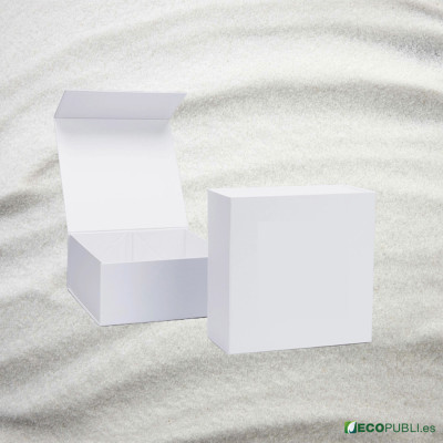 25 Uds Caja Cierre Magnético ECOBOX 30X30X12cm