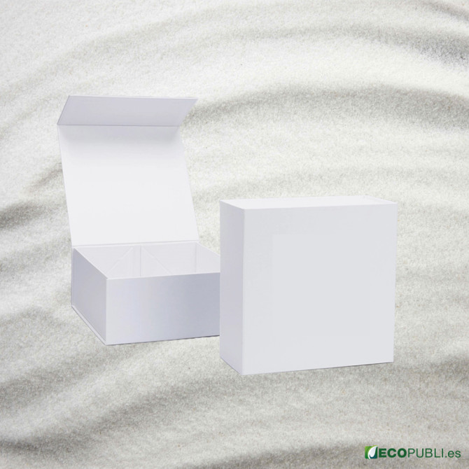 25 Uds Caja Cierre Magnético ECOBOX 30X30X12cm