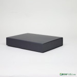 25 Uds Caja Cierre Magnético ECOBOX 31X22X4cm