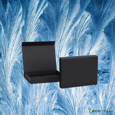 25 Uds Caja Cierre Magnético ECOBOX 31X22X4cm