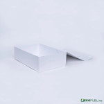 25 Uds Caja Cierre Magnético ECOBOX 33X22X10cm