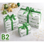 Papel de Regalo Personalizado B2
