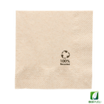 Servilleta Reciclada 10X10 Cerrada 2 Capas Plegado en Cruz
