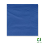 Servilleta 12X12 Cerrada 2 Capas Plegado en Cruz