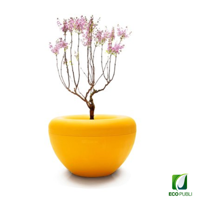 Jardinera SCOOP Plant