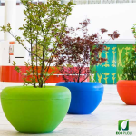 Jardinera SCOOP Plant