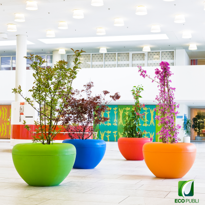 Jardinera SCOOP Plant
