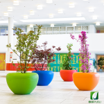 Jardinera SCOOP Plant