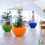 Jardinera SCOOP Plant