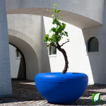 Jardinera SCOOP Plant