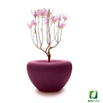 Jardinera SCOOP Plant