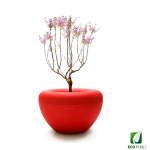 Jardinera SCOOP Plant