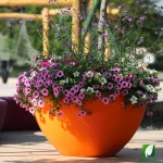 Jardinera SCOOP Plant