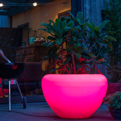 Jardinera SCOOP Light