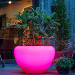 Jardinera SCOOP Light