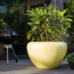 Jardinera SCOOP Light