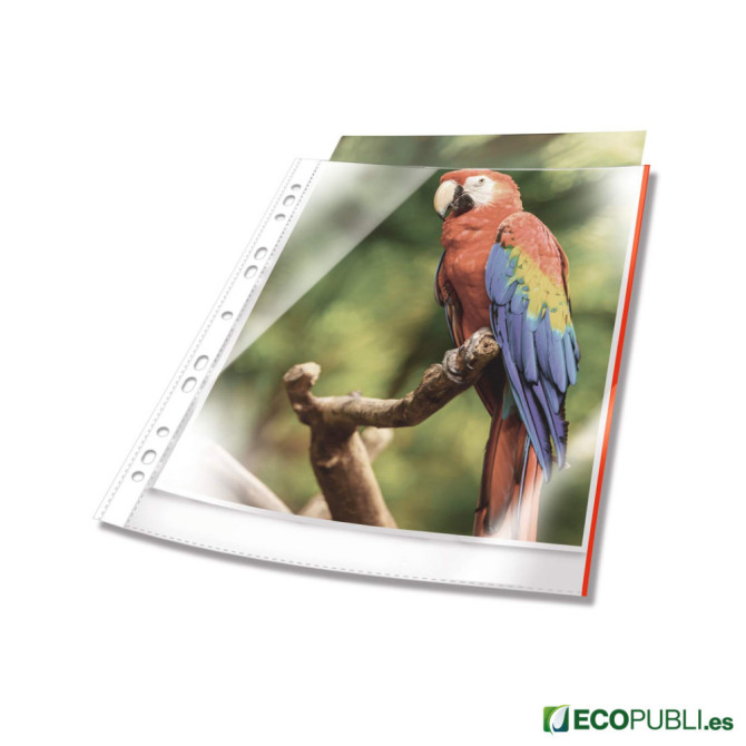 Fundas Multitaladro PREMIUM Borde de Color A4 Cristal Rojas