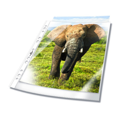 Fundas Multitaladro BUSINESS A4 Crystal Clear Transparente